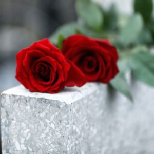 Dvi Skintos Geles Kapu Tvarkymas Ir Prieziura