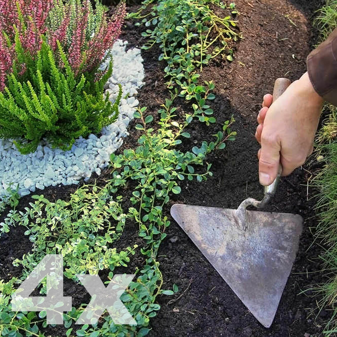 Keturkartinis Kapu Sutvarkymas Kapu Prieziura 2 Keturkartinis Kapu Sutvarkymas Kapu Prieziura 2