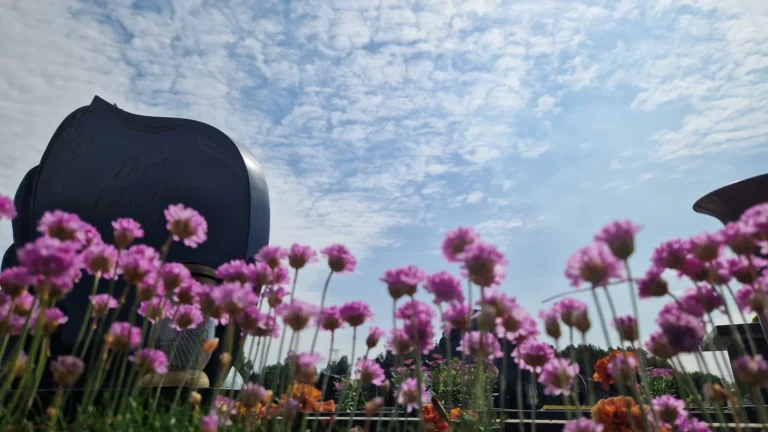 Kaip Pasirupinti Tecio Kapaviete Kapo Tvarkymas Pries Tevo Diena Su Nuotraukomis