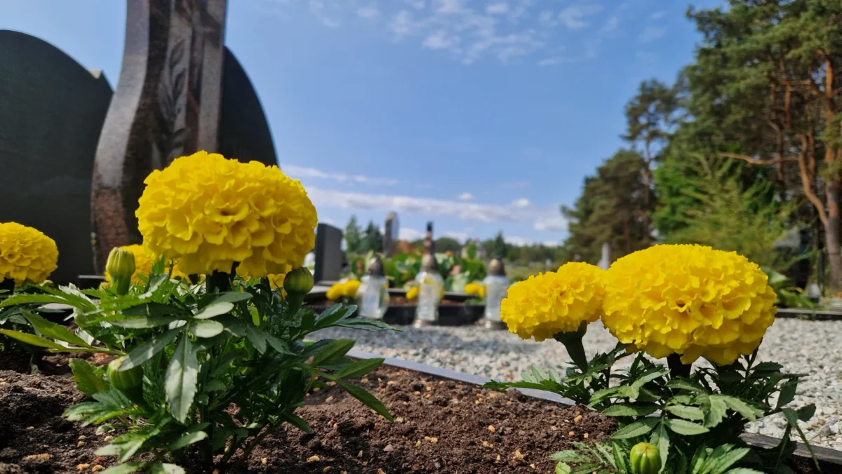 Kapo Sutvarkymas Tevo Atminimui Pries Tecio Diena Visoje Lietuvoje