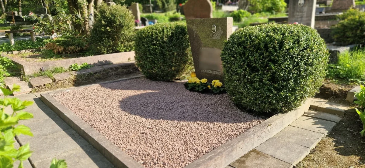 Bukmedzių Gydymo Paslaugos Bukmedžio Gydymas Kapuose Kapo Augalų Atstatymas