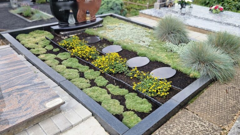 Apzeldinimas Daugiametemis