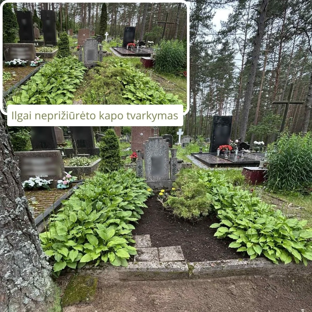 Apleisto Nepriziureto Kapo Tvarkymas 3