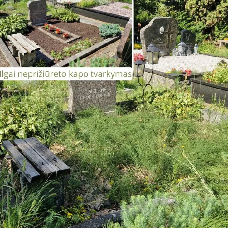 Ekrano Kopija 2026 06 12 103121