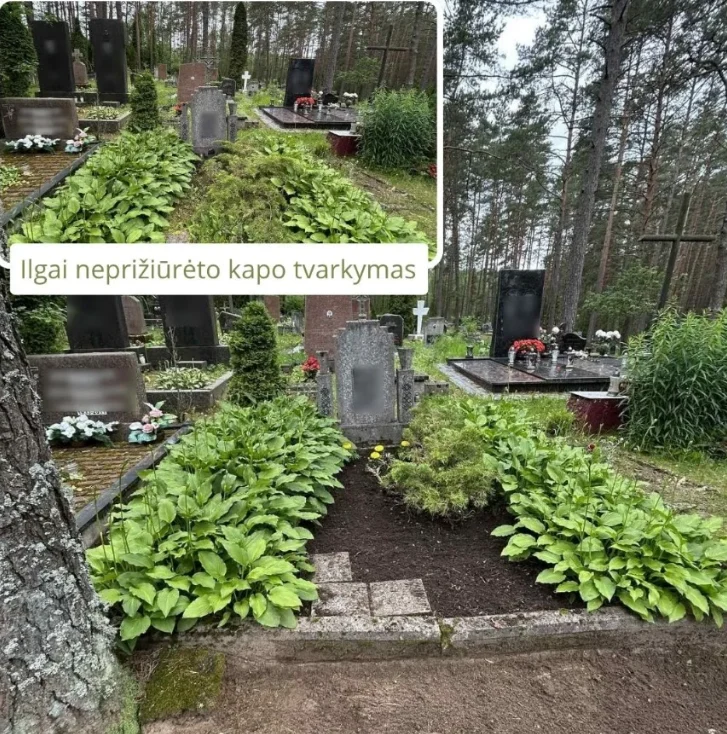 Ekrano Kopija 2026 06 12 103142