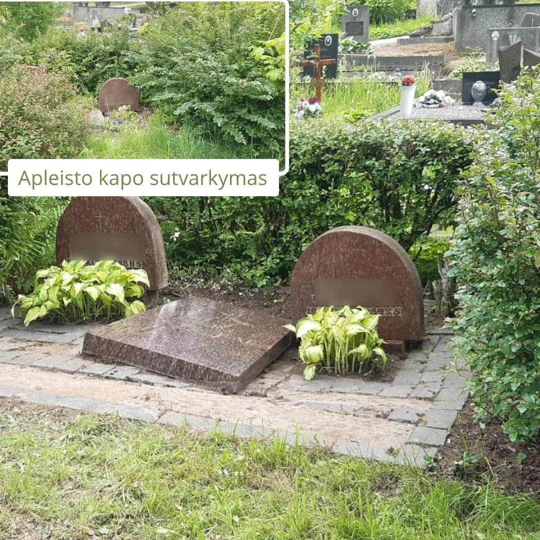 Apleisto Nepriziureto Kapo Tvarkymas 11 (2)