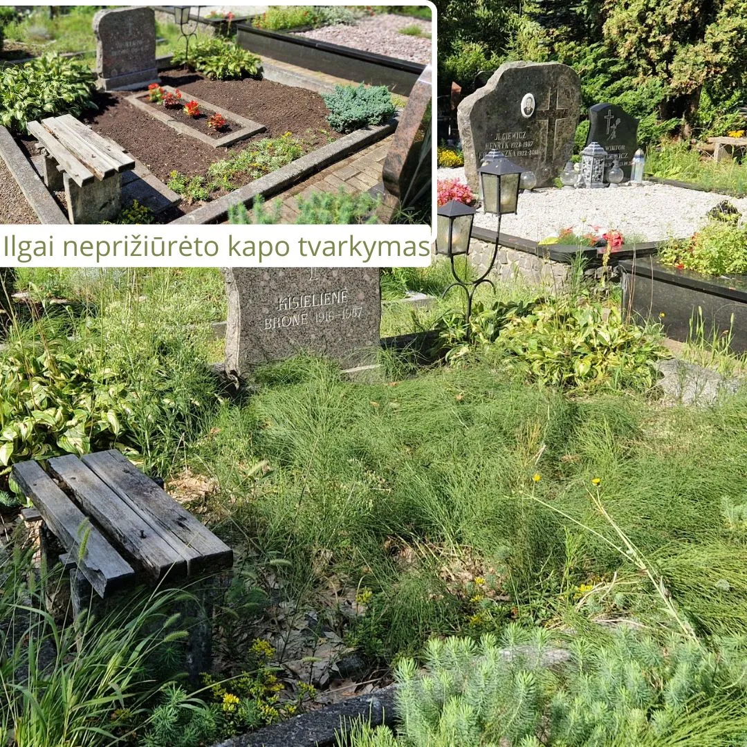 Apleisto Nepriziureto Kapo Tvarkymas 12