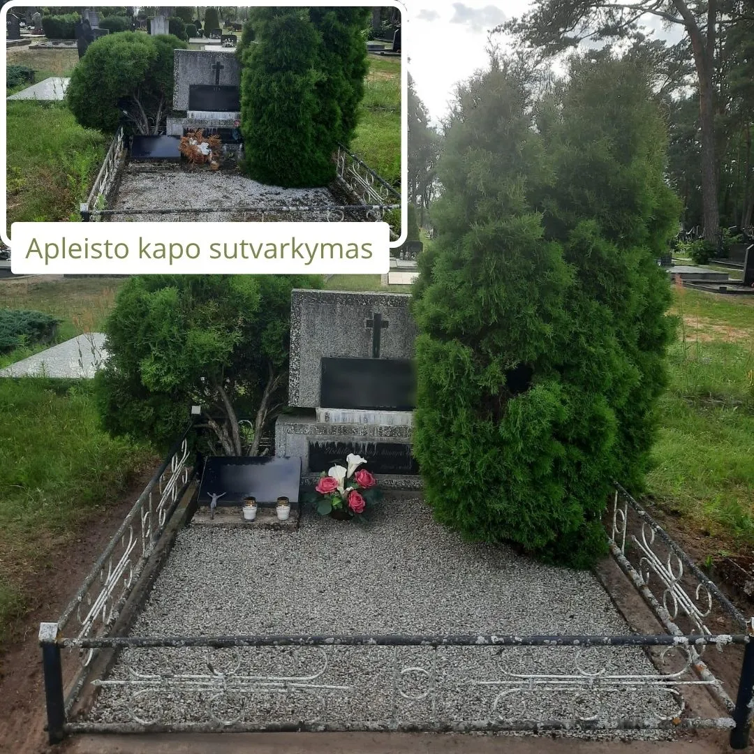 Apleisto Nepriziureto Kapo Tvarkymas 6