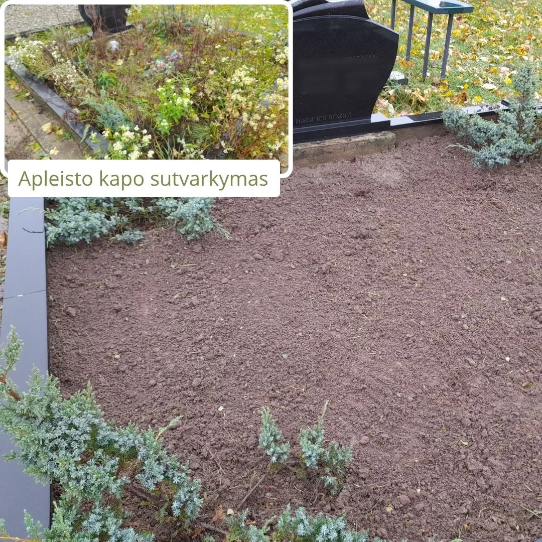 Apleisto Nepriziureto Kapo Tvarkymas 8 (2)