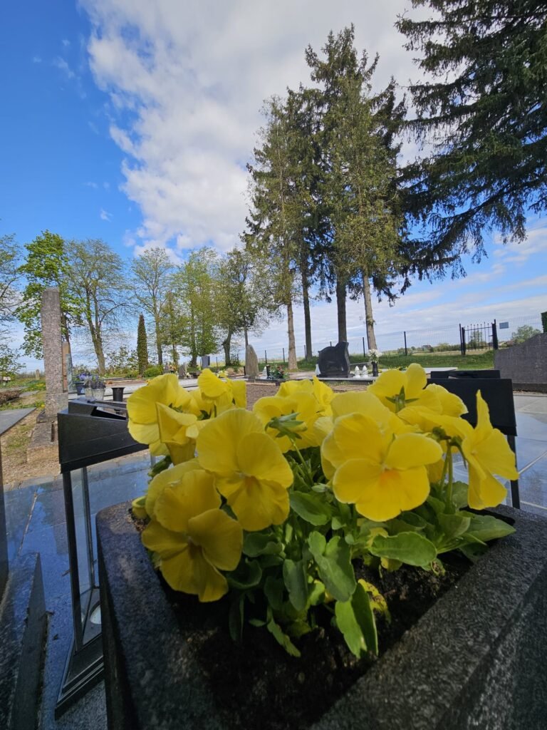 Img 20250430 Wa0008