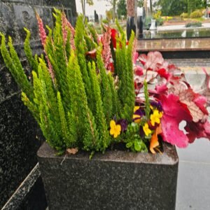 Img 20251005 Wa0004