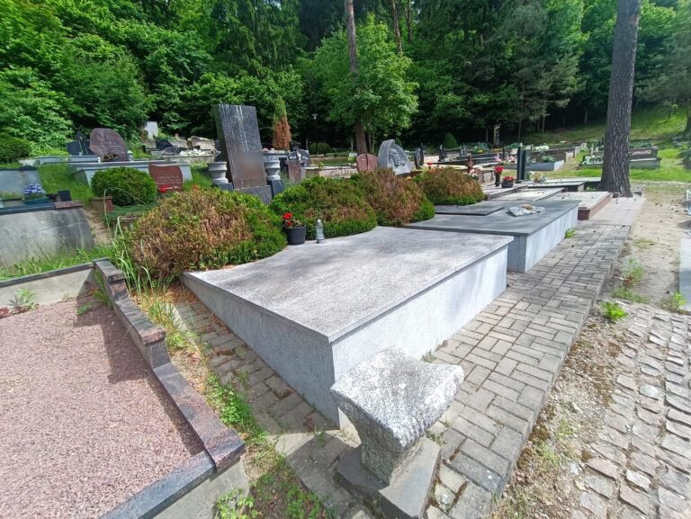 Kai Kapavietėje Tenka Pakeisti Nudžiūvusias Tujas Pries