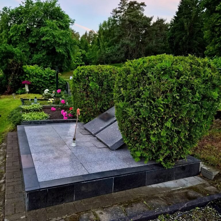 Tiek Problemų Man Išsprendėt